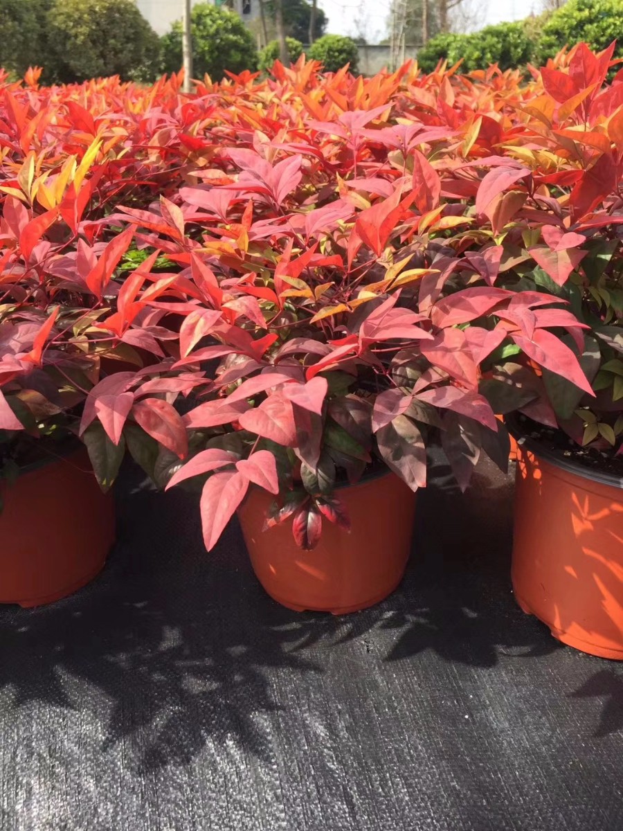 關于品質，我們“用圖”說話