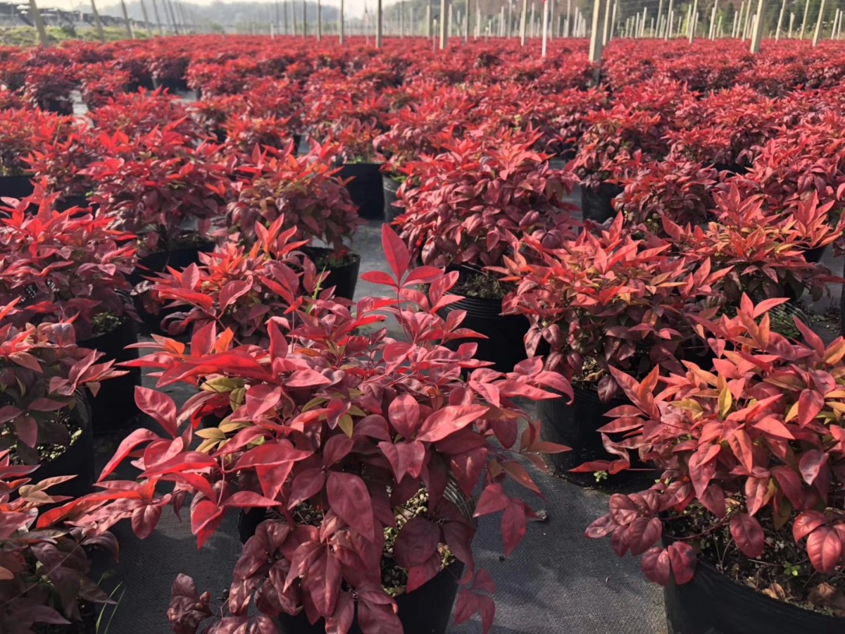 關于品質，我們“用圖”說話